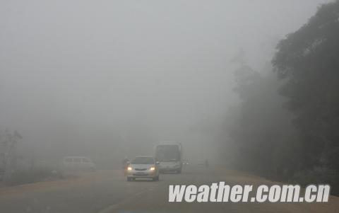 过往车辆纷纷开启大灯