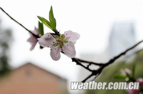 ����ױ�������Ϯ ���������Զ����Խ�ˮ