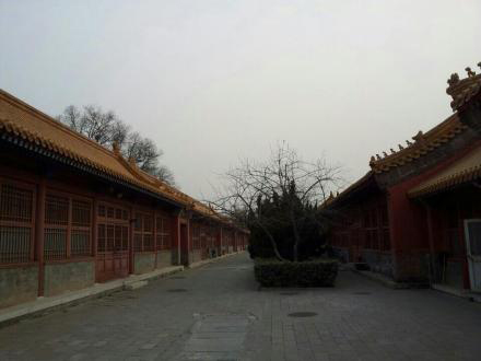 ������ҹ���� ����ӭ2013���׳�����