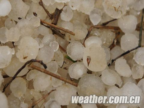 ����������������ɽ�� ����������߲�