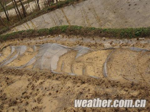 ����������������ɽ�� ����������߲�