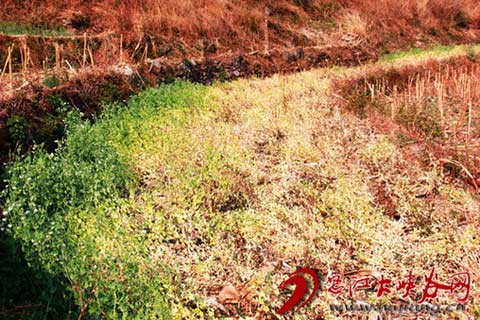 ŭ���������غ��� 23��Ķũ��������