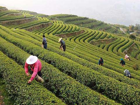 �������������էů���� �㽭�����ܡ��˺���