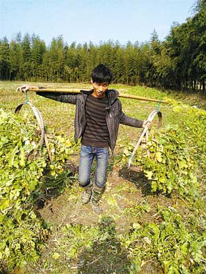 浙江奉化市杜家村:养鸡场循环经济 “百禽图”生生不息