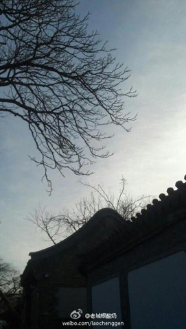 �������������� ����������ת�����������