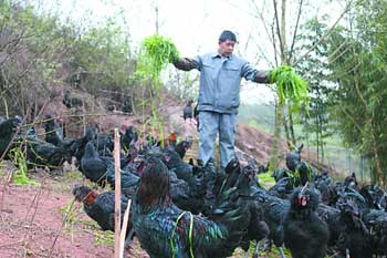 ˼ҰӴ壺ȫڼɽ ӹ󲻽