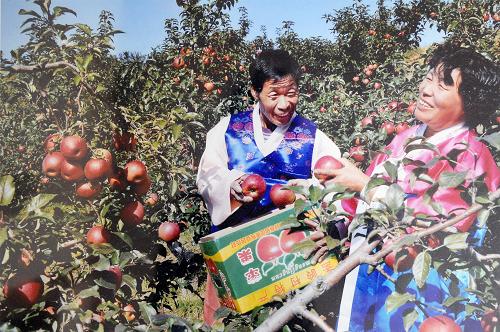 ϰ˳ڹ԰ժƻ2013316շƬ