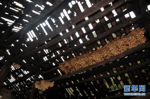 ���������ױ��߷��� �𱱾ֵؽ�������ǿ��������