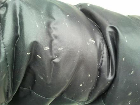 ΢��ֱ����������ʼƮѩ ���Ѿ����������ˣ���