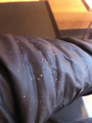 ΢��ֱ����������ʼƮѩ ���Ѿ����������ˣ���