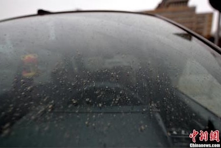 北京今夜阴有小雪转晴 最低气温-3℃