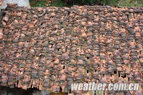 �����������ױ��߷���