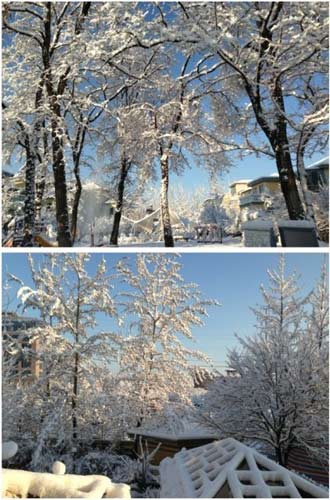 ΢��ֱ����������ʼƮѩ ���Ѿ����������ˣ���