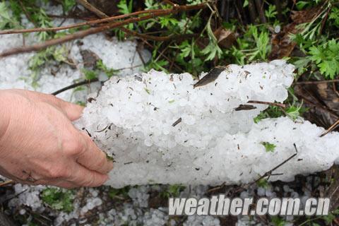 ������Դ��ͻ������ ���ھ������������𷿡� 