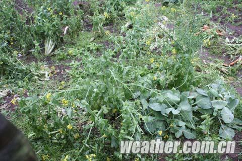 ������Դ��ͻ������ ���ھ������������𷿡� 