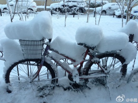 ΢��ֱ������������Ʈѩ