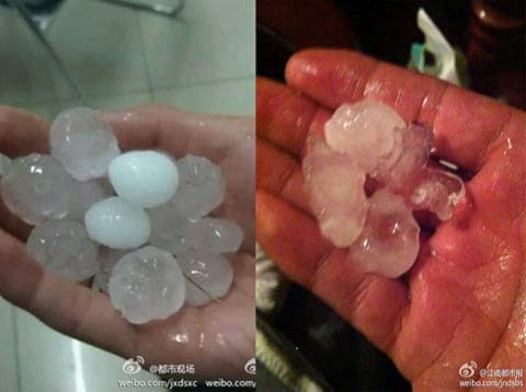 �������������׳���Χǿ��������