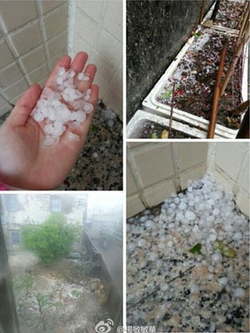 ǿ��������Ϯ�㶫 �ֵ�ӭ12���������