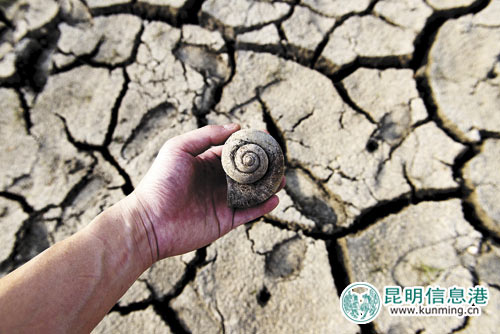 云南旱情蔓延至15州市 已启动抗旱Ⅳ级应急响应