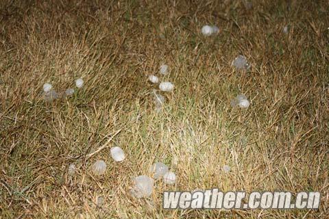 �ױ�������Ϯ���� �ֵ��߷�����·�λ�ˮ������