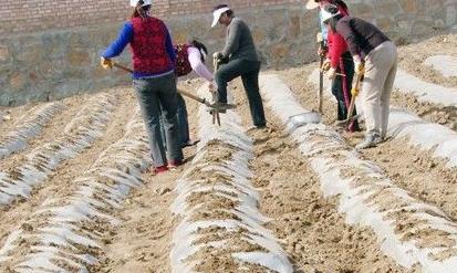 ����������ĵ������ת���ش�ũ����