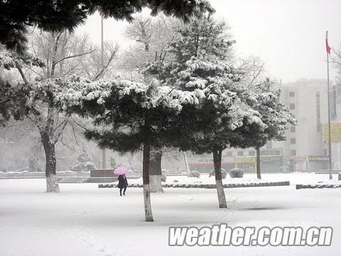 大风雨雪突袭吉林 长春迎今年首次扬沙