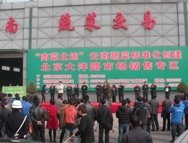 ϲ˱ˡϲֱ߲ר27ڴ·г