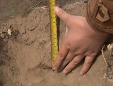 ���л�ˮ�����ຣ�����޽�ˮ ����Ķ�ش�����Ӱ��