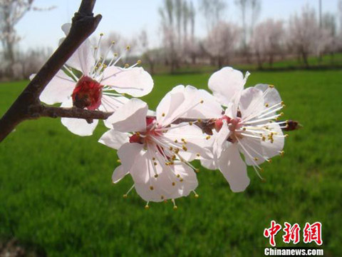 �����˱ǵ����� �½����պ���Ķ�ӻ�������