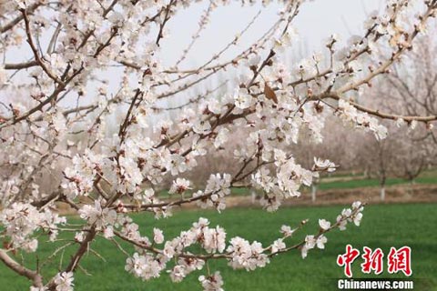 �����˱ǵ����� �½����պ���Ķ�ӻ�������