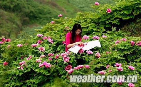 ����潭ƽ�����´�63�����¸� ĵ���ϳ�����ǰ����ʢ��