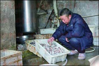 ˮÿ벻ľ㣬һֻˮÿܳ2루ͼ