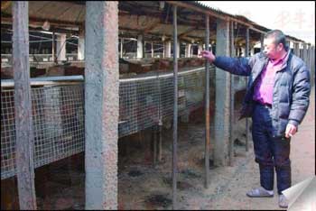 ڽҵķӺ˽500ֻˮͼ