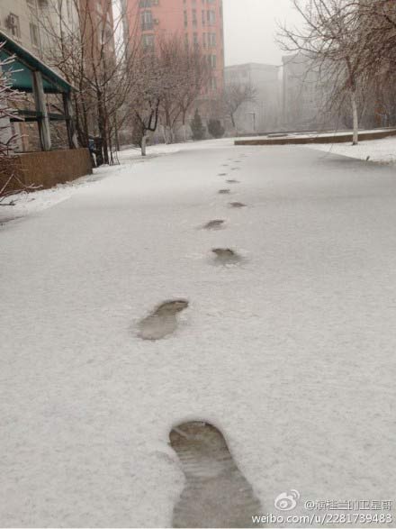 愚人节下大雪 沈阳“春天在哪里?”