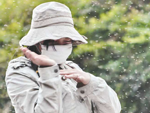 �ɶ���ս�������ˡ� ��ˮ��ս��������С�ڳ�