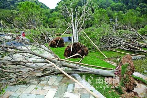 龙卷风夹冰雹袭击广东多地