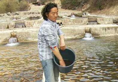 ųǣżȻȵһˮзֵ̻