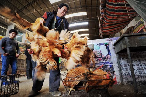 天气日渐回暖 传染病侵扰巧防御