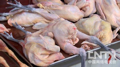 �¸������Ӽ�ƨ���Ϸ��ֵ��̻���ͼ2��