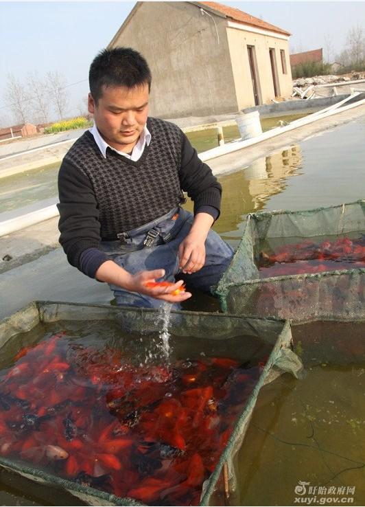 江苏盱眙:小梦想大舞台村官孙红日的“养鱼梦”