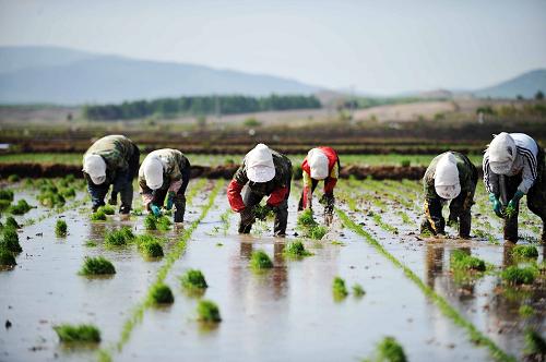 ںʡ־ԪԪ䣬Ůڲ2012525㣩