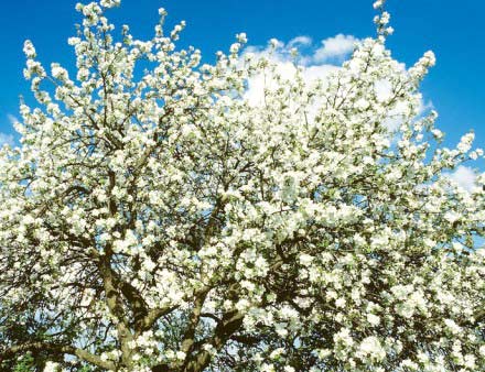 ���Զȥ�ӱ����� ����������»��27��