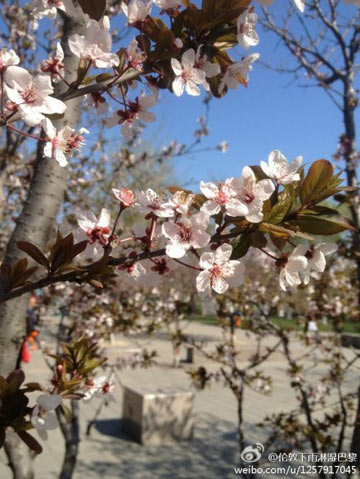 ���Զȥ�ӱ����� ����������»��27��