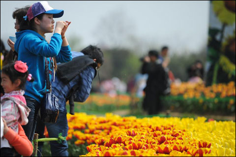 �Ϸʡ����硱�����ձƽ�30�� ��ĩ�ͻ�����ʱ