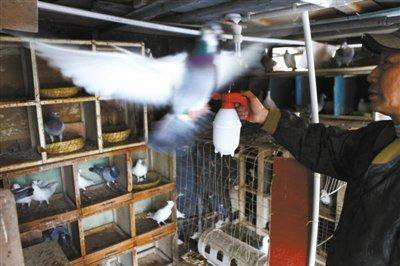 北京发现1例人感染H7N9禽流感病毒携带者