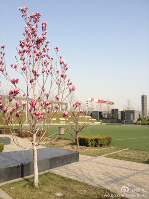 ��������ҹ�䱱��ɽ����С���� ��������Ϊ��