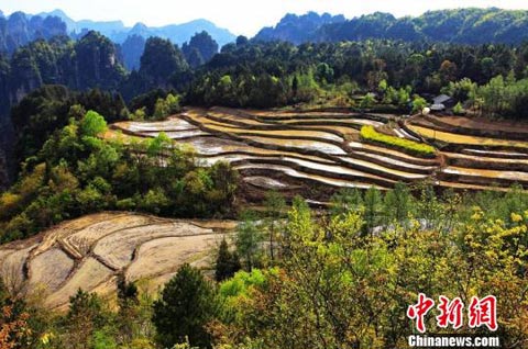 �����żҽ���ľ������֡���������԰���