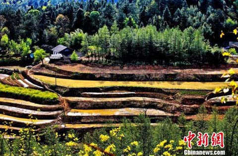 �����żҽ���ľ������֡���������԰���