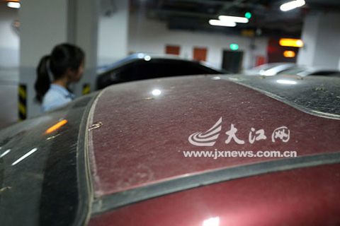 �ϲ��콵�����ꡱ������ δ��������ˮ����������