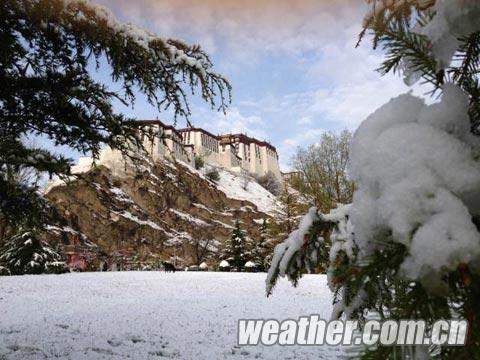 ����ӭ�������ѩ �������������£���ͼ��